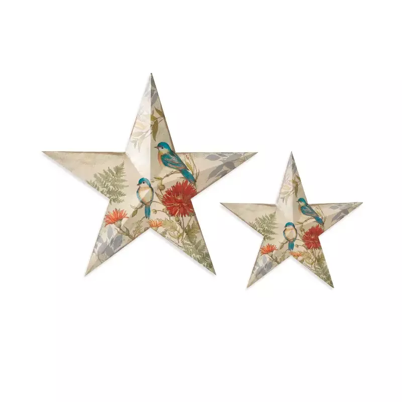 Metal Spring Bird Design Wall Hanging Star