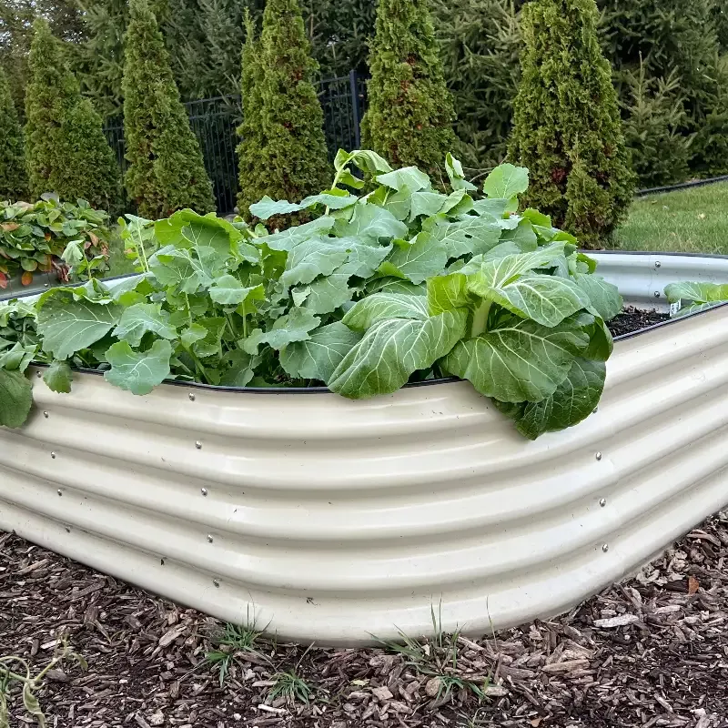 Migardener x Vego Grow Bigger 2 In 1 (SMALL) Raised Bed Kit (SHIPS FREE)