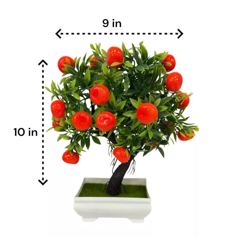 Mini Apple Bonsai