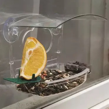 Mixed Treat Window Feeder