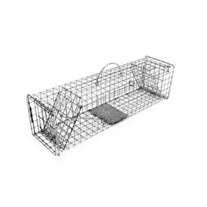 Model 104 2-Door Squirrel Muskrat Live Trap