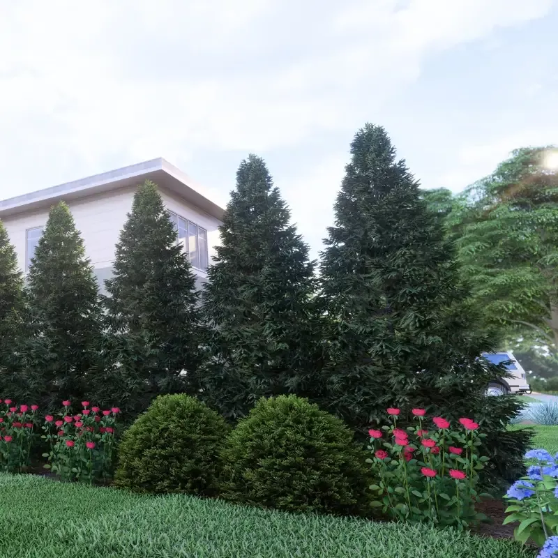 Narrow Privacy Garden