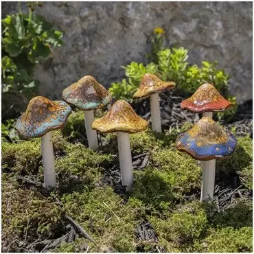 Natural Mushroom