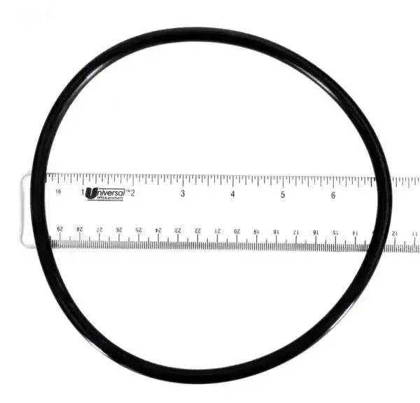 O-Ring, lid (b)