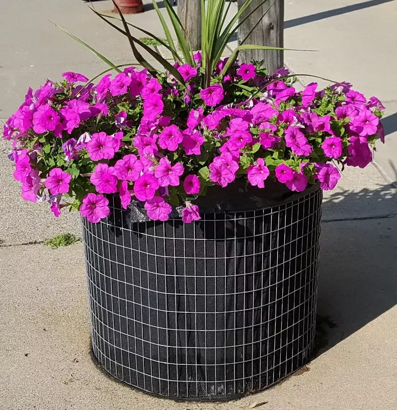 Online Special – 28″ Round Garden Bed