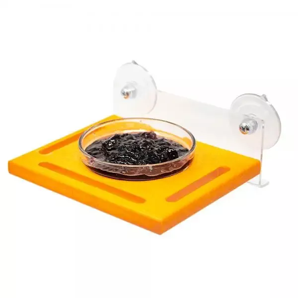 Orange Window Jelly Feeder