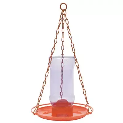Oriole Jelly Feeder
