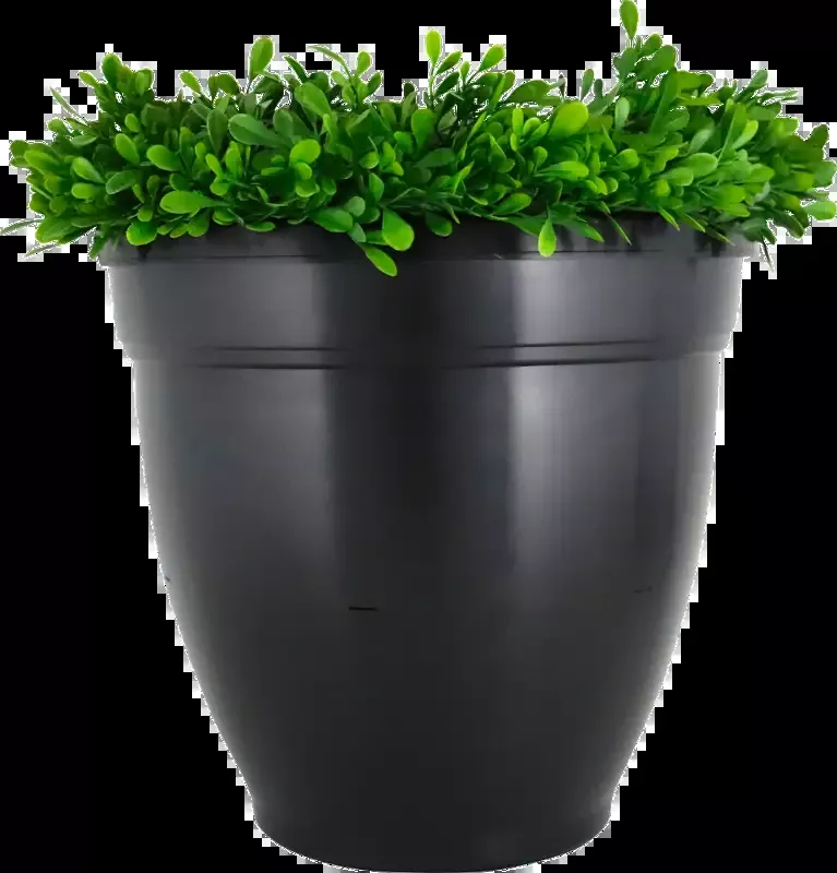 Ovi-Planter Mosquito Trap