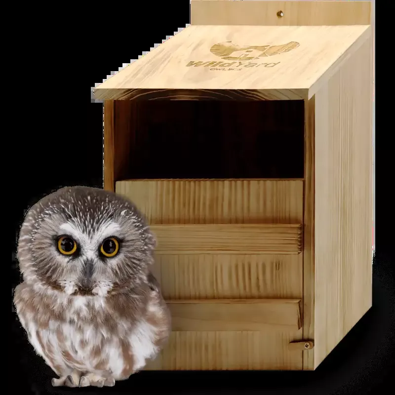 Owl Box for Gardens