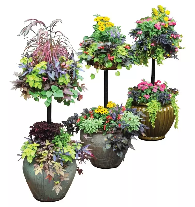Pamela Crawford’s Basket Column for Large Pots