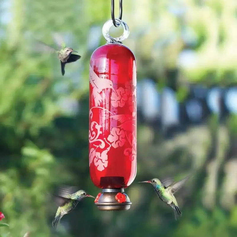 Parasol Red Filigree Hummingbird Feeder
