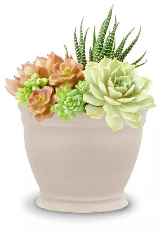 Parisian Planter