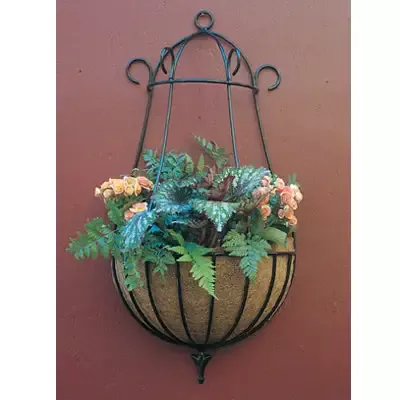 Peacock Wall Basket Planter with Coco Fiber Liner