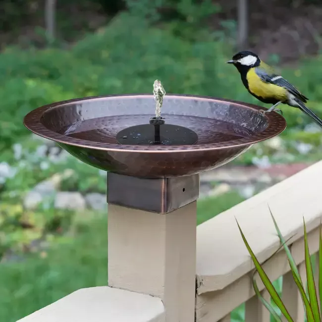 Perch & Ponder Copper Birdbath