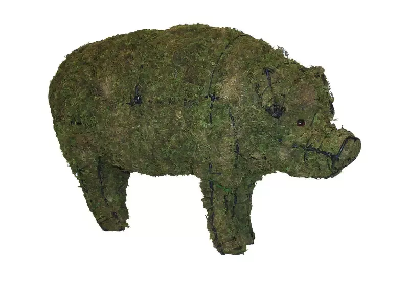 Pig 23″, 31″ and 46″ Topiary Sculptures – Moss Filled
