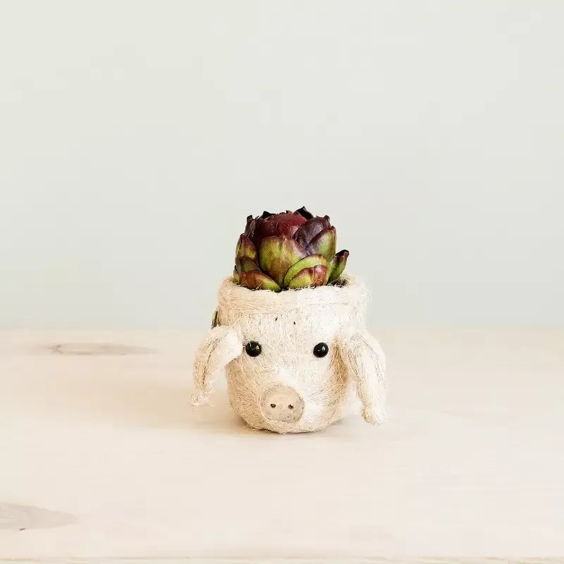 Pig Plant Pot – Animal Head Plant Pot