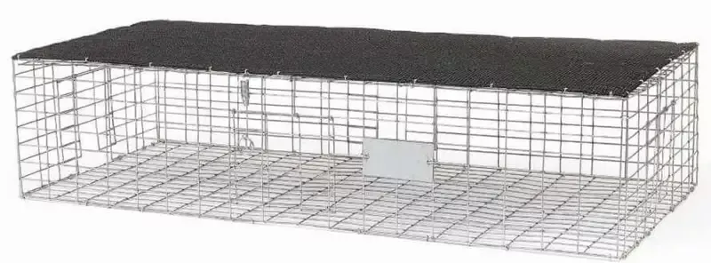 Pigeon Trap 36 x 16 x 8