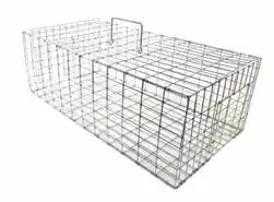Pigeon Trap