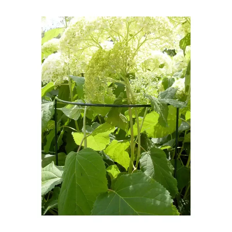 Plant Support Cradle 40″ Half Circle 14″ W