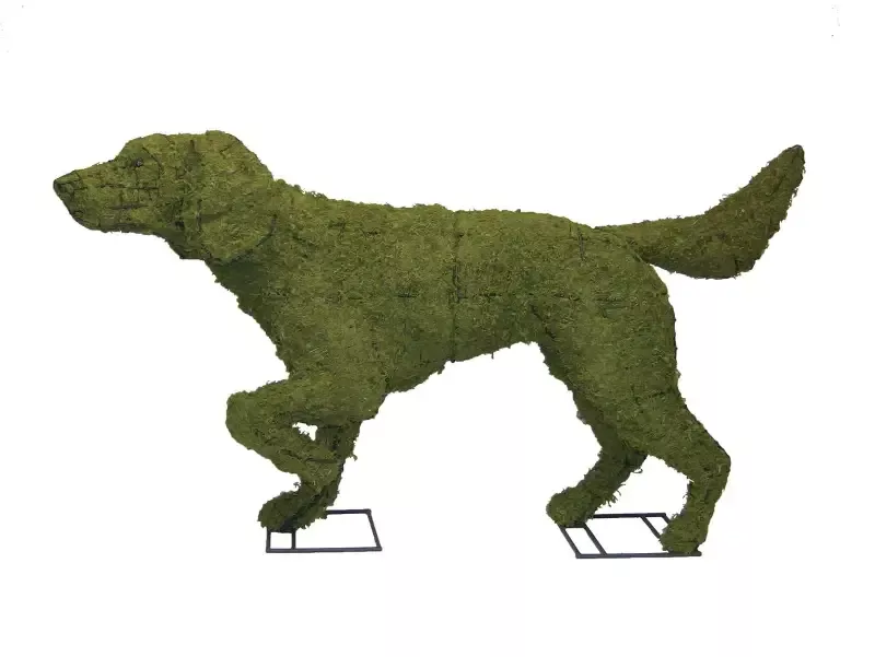 Pointer 50″ Moss Topiary Sculpture