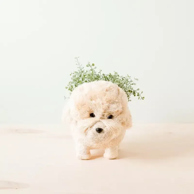Poodle Planter – Coco Coir Pots