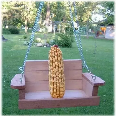 Porch Swing Squirrel Feeder- Cedar or Poly
