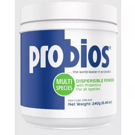 Probios™ Dispersible Powder, 240 g