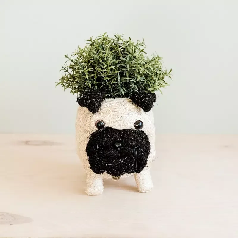 Pug Planter – Coco Coir Pots