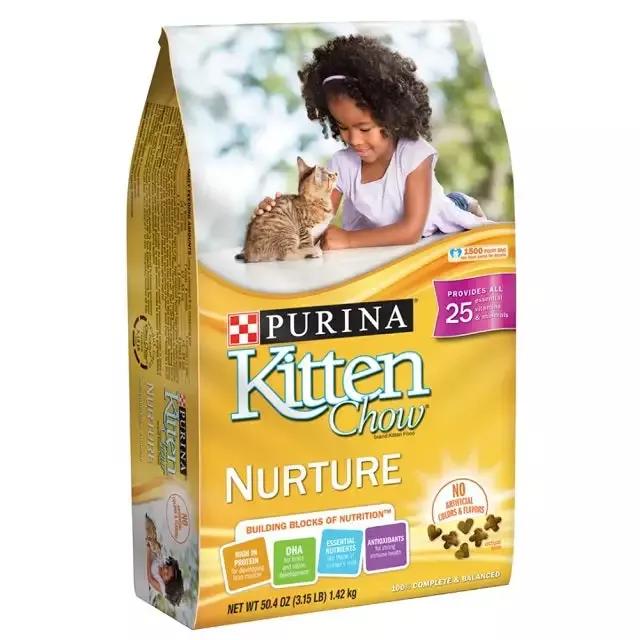 Purina Kitten Chow Dry Cat Food
