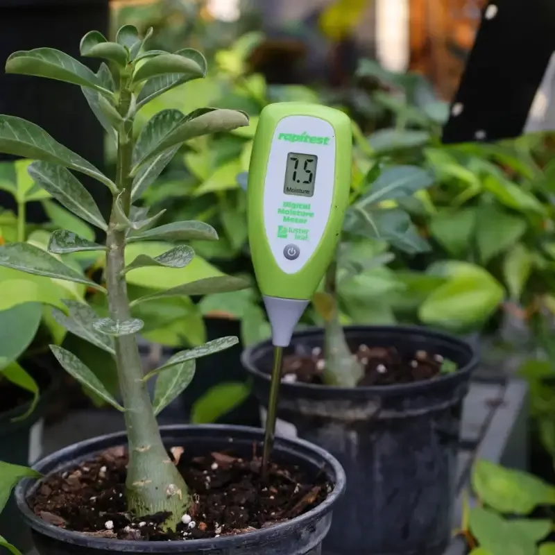 Rapitest Digital Moisture Meter