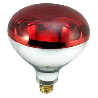 Red Heat Lamp Bulb