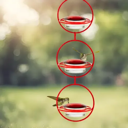Red Orb with Perch Hummingbird Feeder