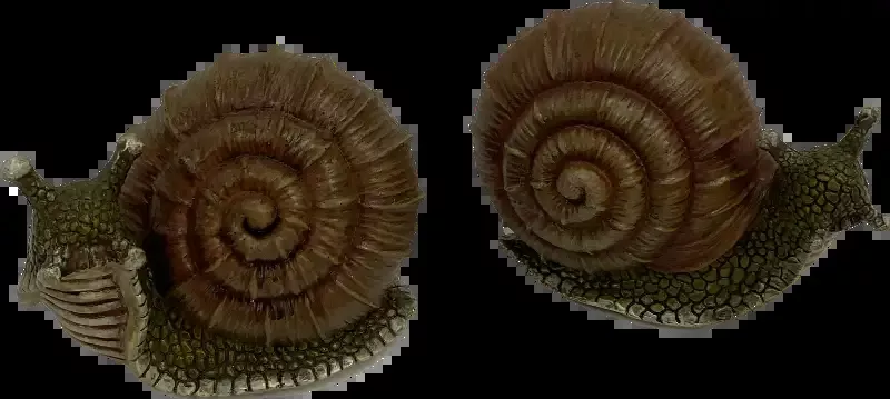 Resin Snail 4.9″