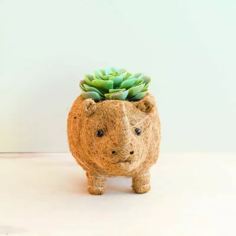 Rhino Planter – Coco Coir Pot