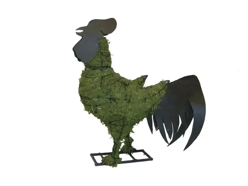 Rooster 28″ Moss Topiary Sculpture