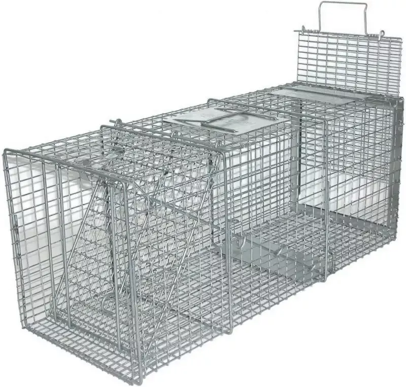Safeguard Professional Rear Release Cage Trap Dogs and Coyotes