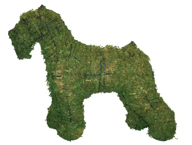Schnauzer 24″ Topiary Sculpture – Wire Frame, Moss Filled or Lighted