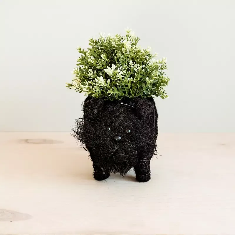 Schnauzer Planter – Coco Coir Pots