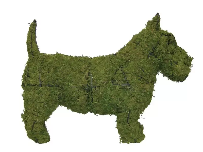 Scottie 25″ Topiary Sculpture – Wire Frame, Moss Filled or Lighted