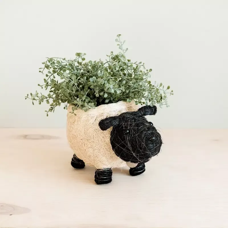 Sheep Planter – Coco Coir Pots