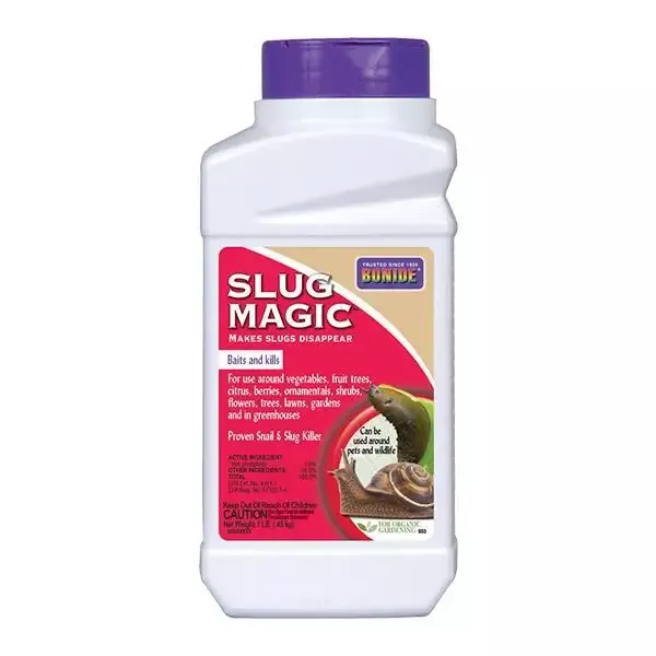 Slug Magic