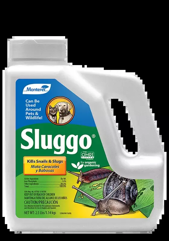 Sluggo Snail & Slug