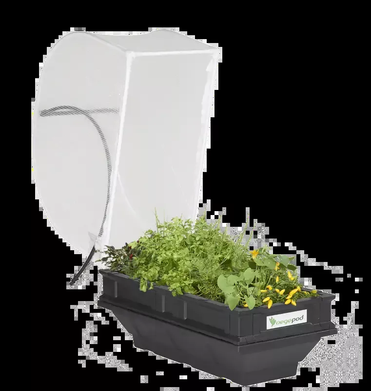Small Raised Garden Bed with Garden Cover
