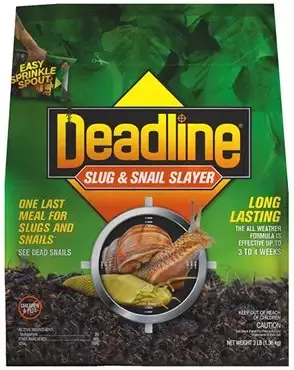 Snug & Snail Slayer