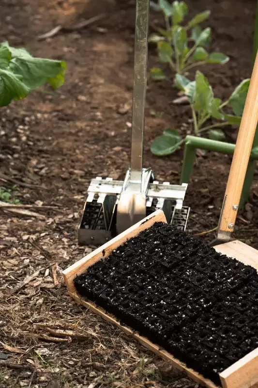 Soil Blocker – Standing-35 –Ladbrooke