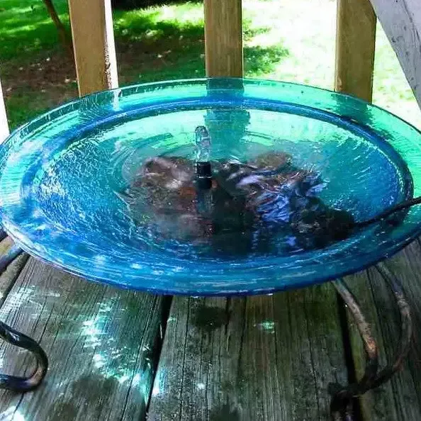 Solar Glass Ground Birdbath