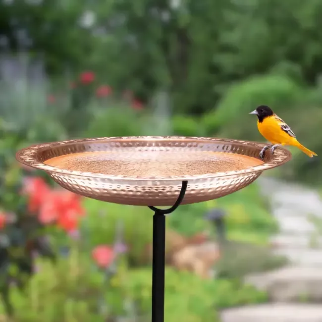 Solid Copper Staked Bird Bath- 2 Sizes