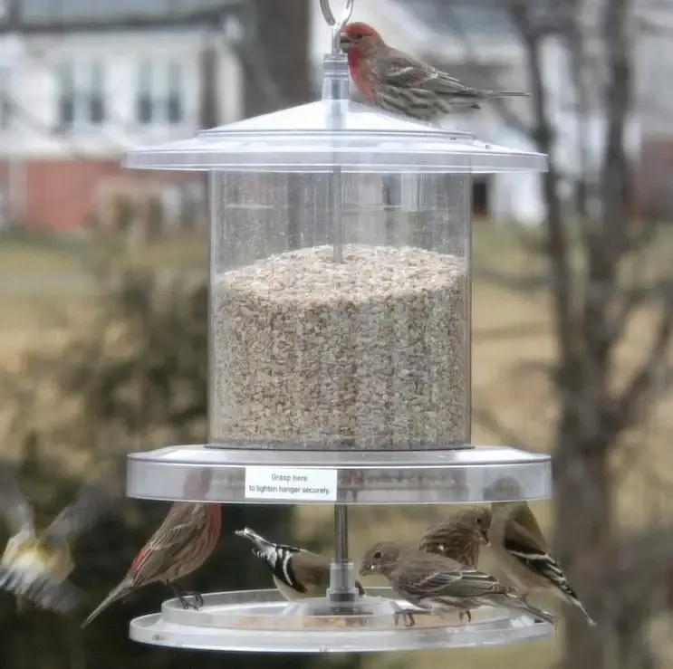 Songbird All-Weather Feeder 4 or 6 qt.