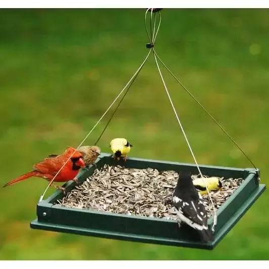 Songbird Essentials Hanging Platform Feeder, 12.5″ x 12.5″