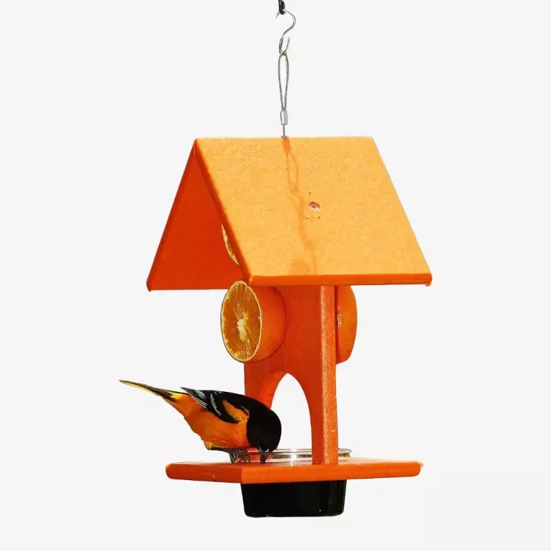 Songbird Essentials Jelly & Fruit Feeder – Eco-Friendly Bird Feeder